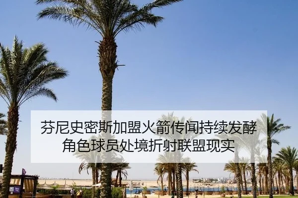 芬尼史密斯加盟火箭传闻持续发酵 角色球员处境折射联盟现实