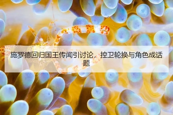 施罗德回归国王传闻引讨论，控卫轮换与角色成话题